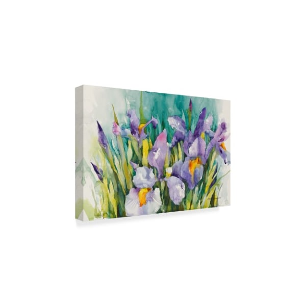 Annelein Beukenkamp 'Purple Irises' Canvas Art,30x47